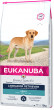 Eukanuba Dog Breed N. Labrador Retriever 12kg