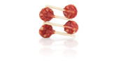 KIDDOG BUFFET LOLLIPOP lízátko s kachním masem a sýrem 9 cm/8 g 1ks