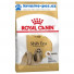 Royal Canin Breed ShihTzu 1,5kg