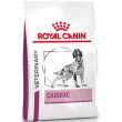 Royal Canin VD Dog Dry Cardiac 14kg