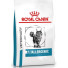 Royal Canin VD Cat Dry Anallergenic 2 kg