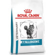 Royal Canin VD Cat Dry Anallergenic 2 kg