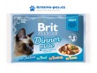 Brit Premium Cat D Fillets in Gravy Dinner Plate 340g