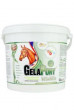 Gelapony VitaMin 10,8kg