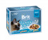 Brit Premium Cat Delicate Fillets in Gravy Family Plate (12 x 85 g) 1020g