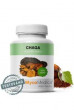 Chaga 90tbl