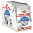 Royal Canin - Feline kapsičky Indoor 12x85 g