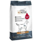 Platinum Vetactive Senior 5 kg