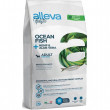 ALLEVA HOLISTIC Dog Dry Adult Ocean Fish Mini 12kg + pamlsek sušené maso 250g + DOPRAVA ZDARMA