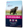 Eukanuba Dog Senior Large & Giant 15kg