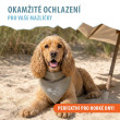 CoolPets chladící šátek Beige vel. S/45x20cm