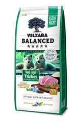Velxara Balanced FM Dog Puppy&Junior Monoprotein Turkey&Rice 12kg