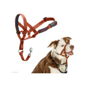 Ohlávka nylon Halti oranžová vel. 4 - rotvajler, doga COA