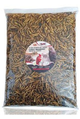 Apetit BLACK SOLDIER bráněnka 500g