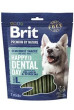 Brit Premium Dog by Nature Dental Snacks L 28ks (1kg)