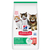 Hill's Science Plan Feline Kitten Salmon 3 kg