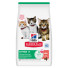 Hill's Science Plan Feline Kitten Salmon 1,5 kg
