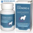 Roboran Chondro 6 pro psy 60tbl