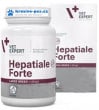 Hepatiale Forte Large Breed 40 tbl