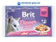 Brit Premium Cat D Fillets in Jelly Dinner Plate 340g