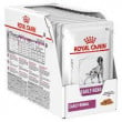 Royal Canin VD Dog kapsIčky Early Renal 12 x 100 g