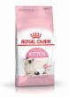 Royal Canin Feline Kitten  10kg