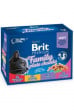 Brit Premium Cat kapsa Family Plate 1200g (12x100g)